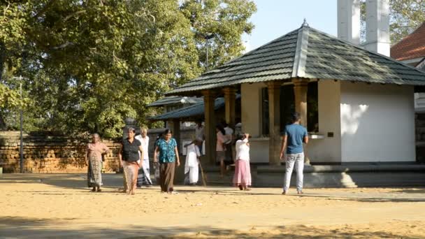 Pilegrimer på Sri Maha Bodhi – stockvideo