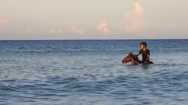 Lokal man med häst i havet — Stockvideo