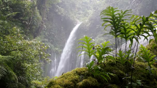 Air Terjun Tiu Kelep waterfall — Stock Video