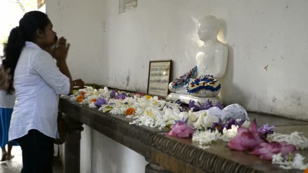 Peregrinos em Sri Maha Bodhi — Vídeo de Stock
