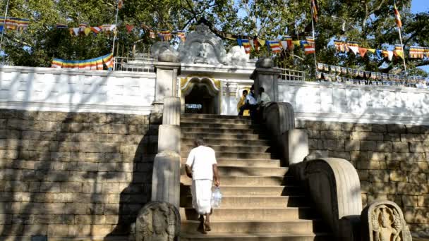 Pilgrimer vid Sri Maha Bodhi — Stockvideo