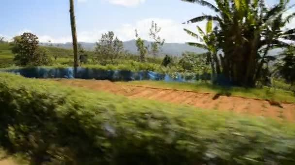 ヌワラ・エリヤからエラへの列車 — ストック動画