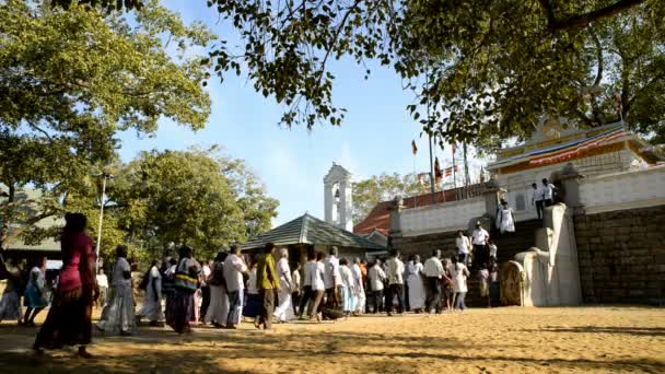 Pelgrims op Sri Maha Bodhi — Stockvideo