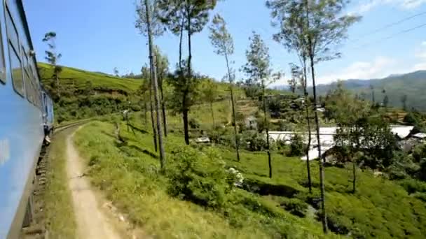 Treno da Nuwara Eliya a Ella — Video Stock