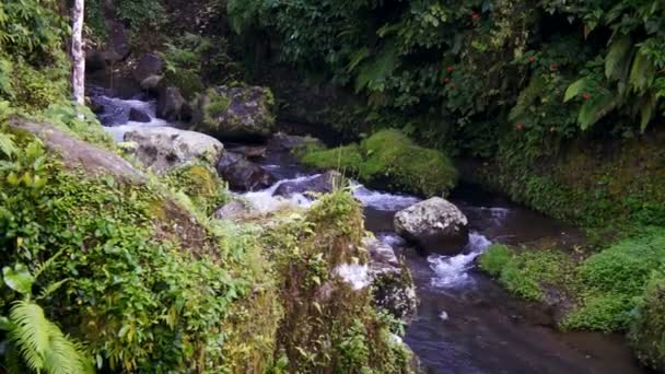 Complejo de templos Gunung Kawi — Vídeo de stock