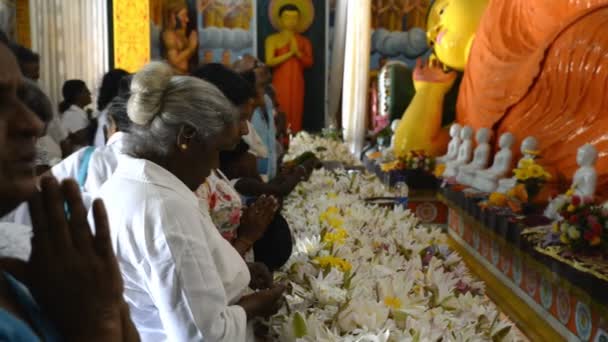 Pilgrimer att be på statyn av Buddha — Stockvideo