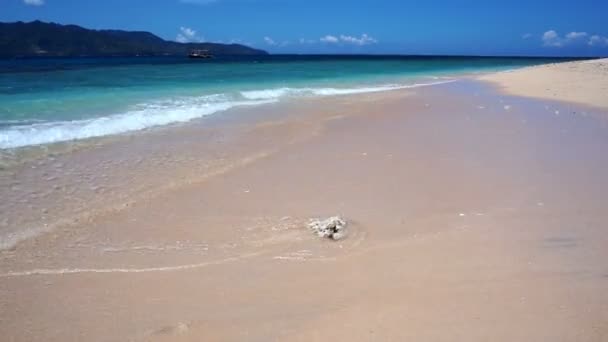 Vagues douces de la mer sur la plage — Video