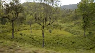 Nuwara Eliya'dan Ella'ya tren