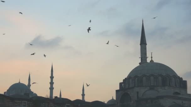 Yeni cami neue Moschee — Stockvideo