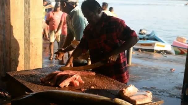 Pescador haciendo destripar el pescado — Vídeo de stock