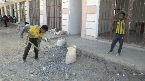 Chłopiec zbiera małe kamienie w worku — Wideo stockowe