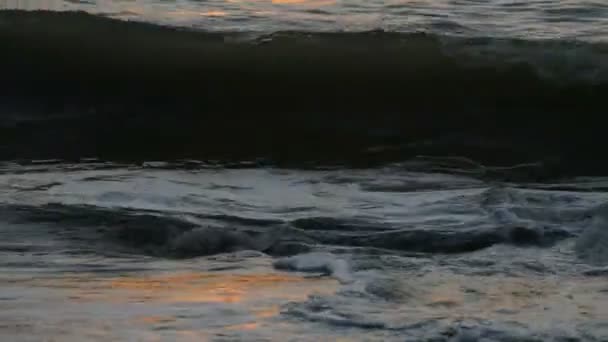 Пляж тангалле, Шрі-Ланка — стокове відео