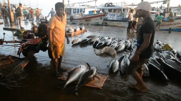 Pescadores que trabajan en el mercado — Vídeo de stock