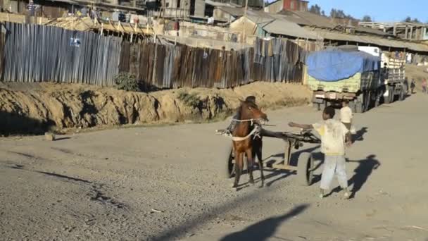 Niño montando en un carro de caballos — Vídeo de stock