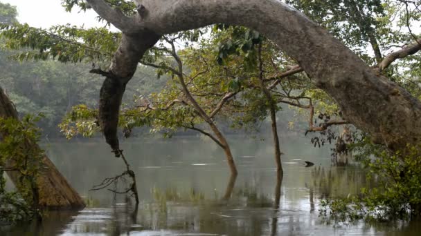 Parc national Kumana 