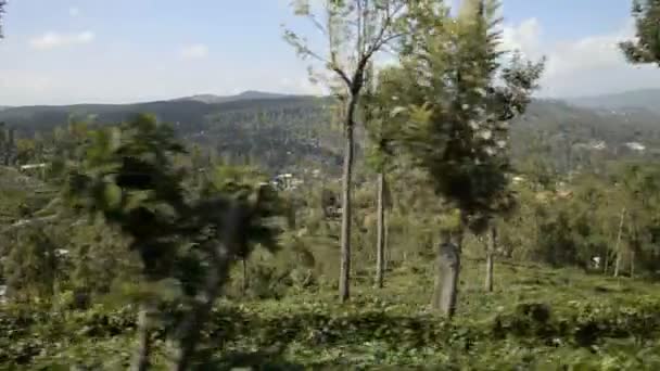 Tren desde Nuwara Eliya a Ella — Vídeo de stock