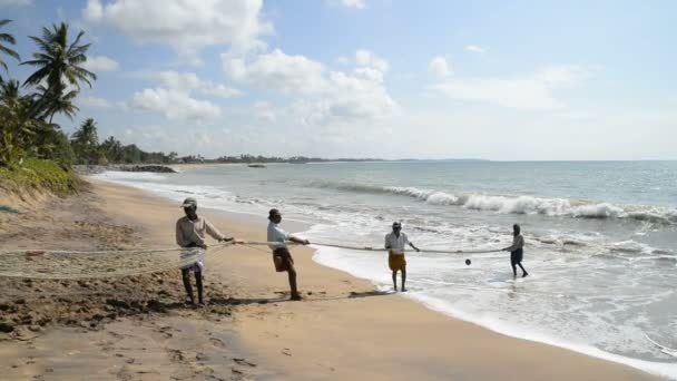 Fishermen pull net from the ocean — Stock Video