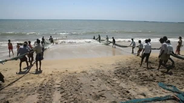 Fishermen pulling net from the beach — Stock Video