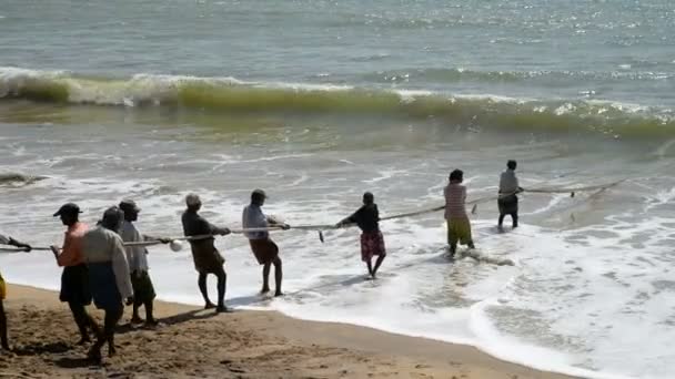 Pescadores tirando de la red de la playa — Vídeos de Stock