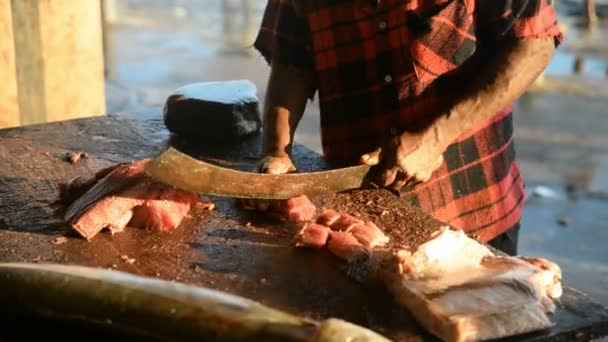 做剖鱼的渔夫 — 图库视频影像