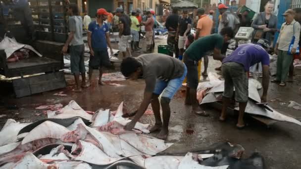 Pescadores que trabajan en el mercado — Vídeos de Stock