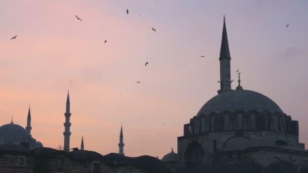 Nuova moschea di Yeni Cami — Video Stock