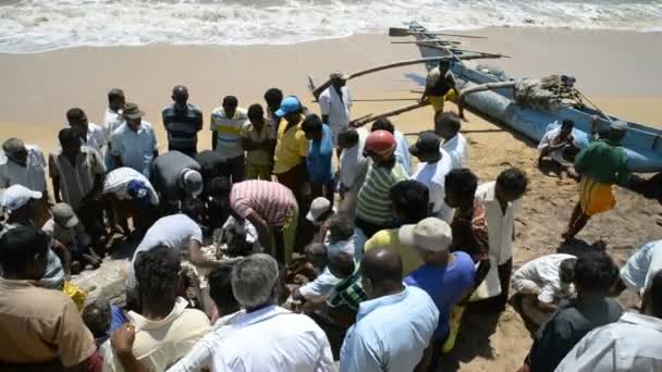 Pescadores en la playa de Tangalle — Vídeo de stock