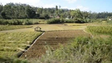 Nuwara Eliya'dan Ella'ya tren