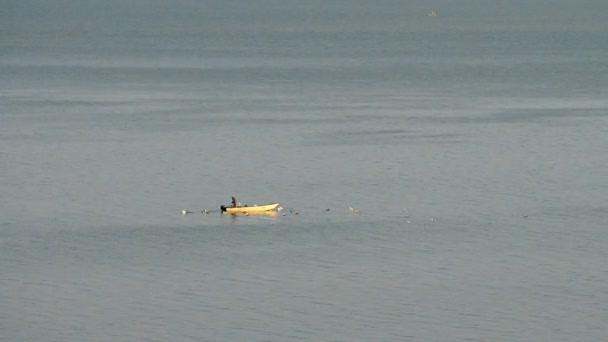 트라시메노 호수에서 어 부 — 비디오