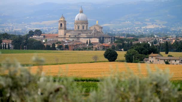 Basilica di Santa Maria degli Angeli — Stockvideo