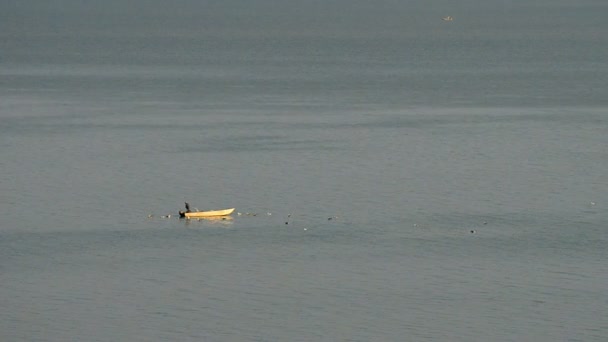 Fisherman at Lake Trasimeno — Stock Video