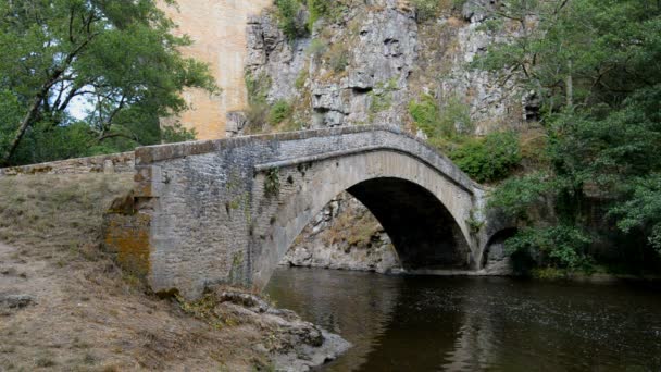 Πέτρινη γέφυρα πάνω από τον ποταμό La θεραπεία — Αρχείο Βίντεο