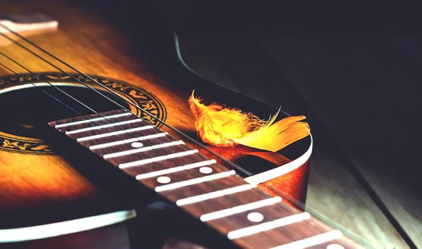 기타의 문자열에 장식 plumelet — 스톡 사진