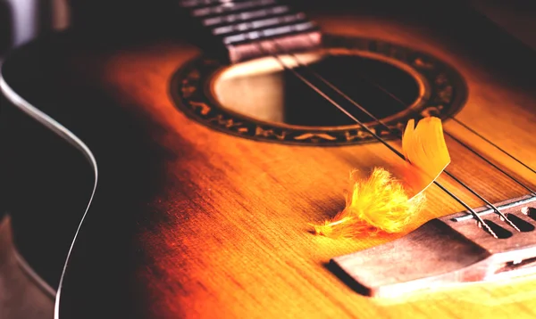 Decorative plumelet on the strings of a guitar — Stock Photo, Image