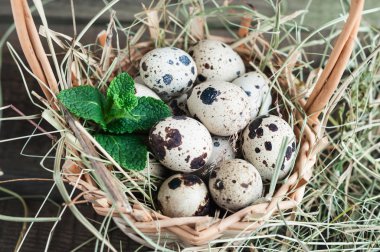 bıldırcın yumurtası saman ile sepet içinde