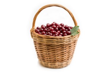 Sepet beyaz zemin üzerine kırmızı taze kiraz dolu