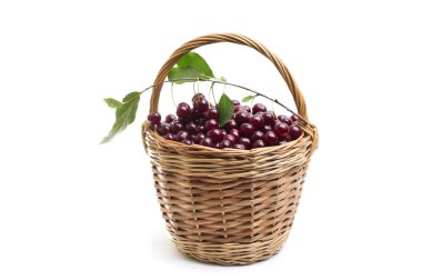 Sepet beyaz zemin üzerine kırmızı taze kiraz dolu