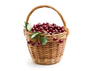 Sepet beyaz zemin üzerine kırmızı taze kiraz dolu