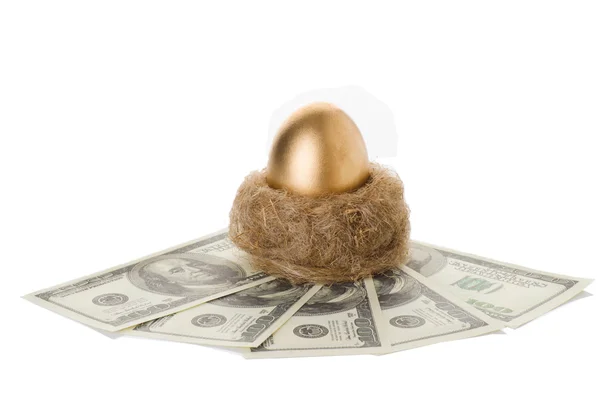 Ovo dourado em um ninho com dinheiro — Fotografia de Stock