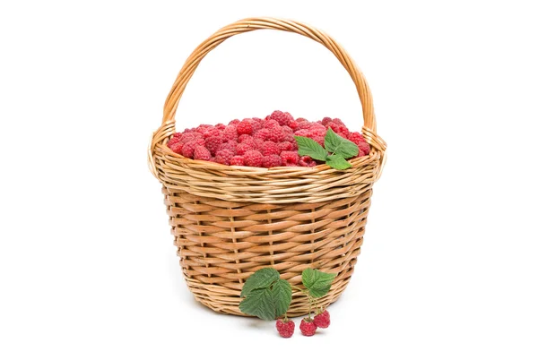 Frische reife rote Himbeeren in einer Weidenschale — Stockfoto