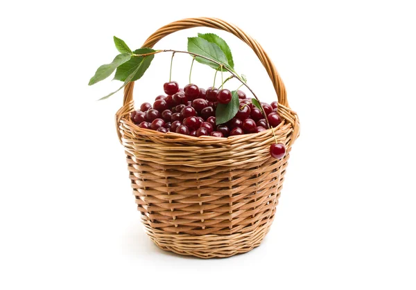 Basket full of fresh red cherry on a white background — Stock Photo, Image