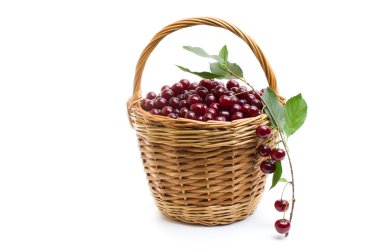 Sepet beyaz zemin üzerine kırmızı taze kiraz dolu