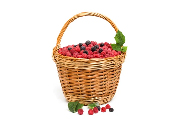 Fresh ripe red raspberries in a wicker bowl — Stock Photo, Image