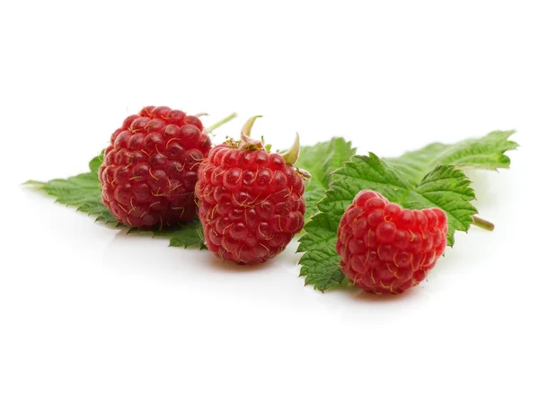 Frische rote Himbeeren isoliert auf weißen — Stockfoto