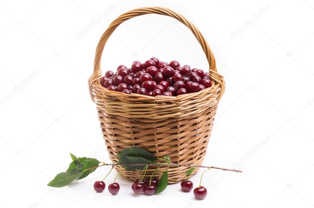 мама собрала 8 корзинок вишни по 3. лукошко с вишней. мама собрала 8 корзинок вишни по 3. полная корзина вишни. золотое лукошко с вишней.