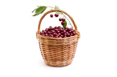 Sepet beyaz zemin üzerine kırmızı taze kiraz dolu