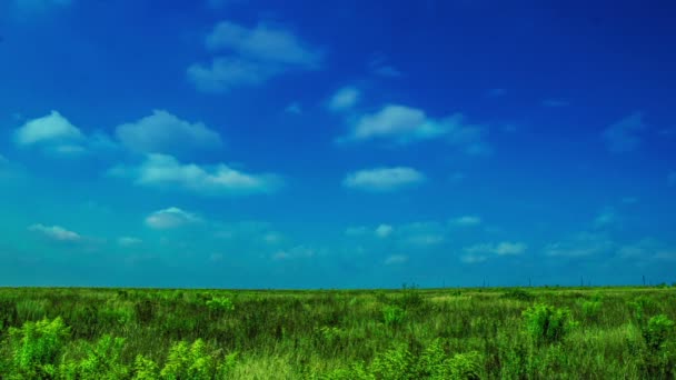 Taymlaps 和蓬松的白天天空云彩无缝环，Cinemagraph — 图库视频影像