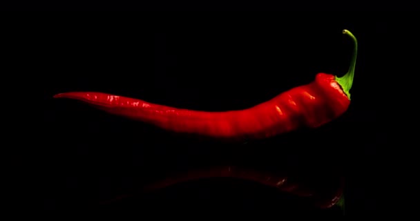 Time lapse of drying red pepper on black background, drying process — Stock Video