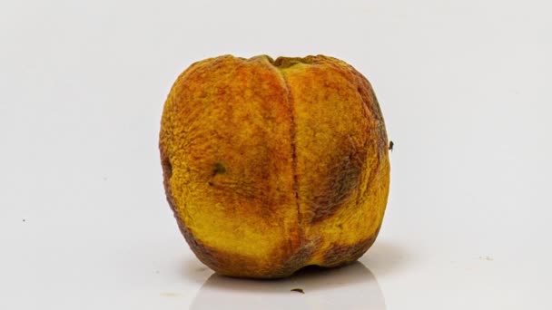 Time lapse of peach rotting on a white background, the process of decomposition and decay, shooting period 10 days — Stock Video