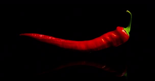 Time lapse of drying red pepper on black background, drying process — Stock Video